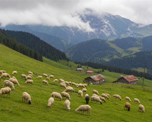 Köyümüzden kareler