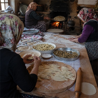 Gençlik Kolu Kuruldu